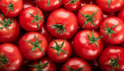 Fresh Red Tomatoes Background Texture
