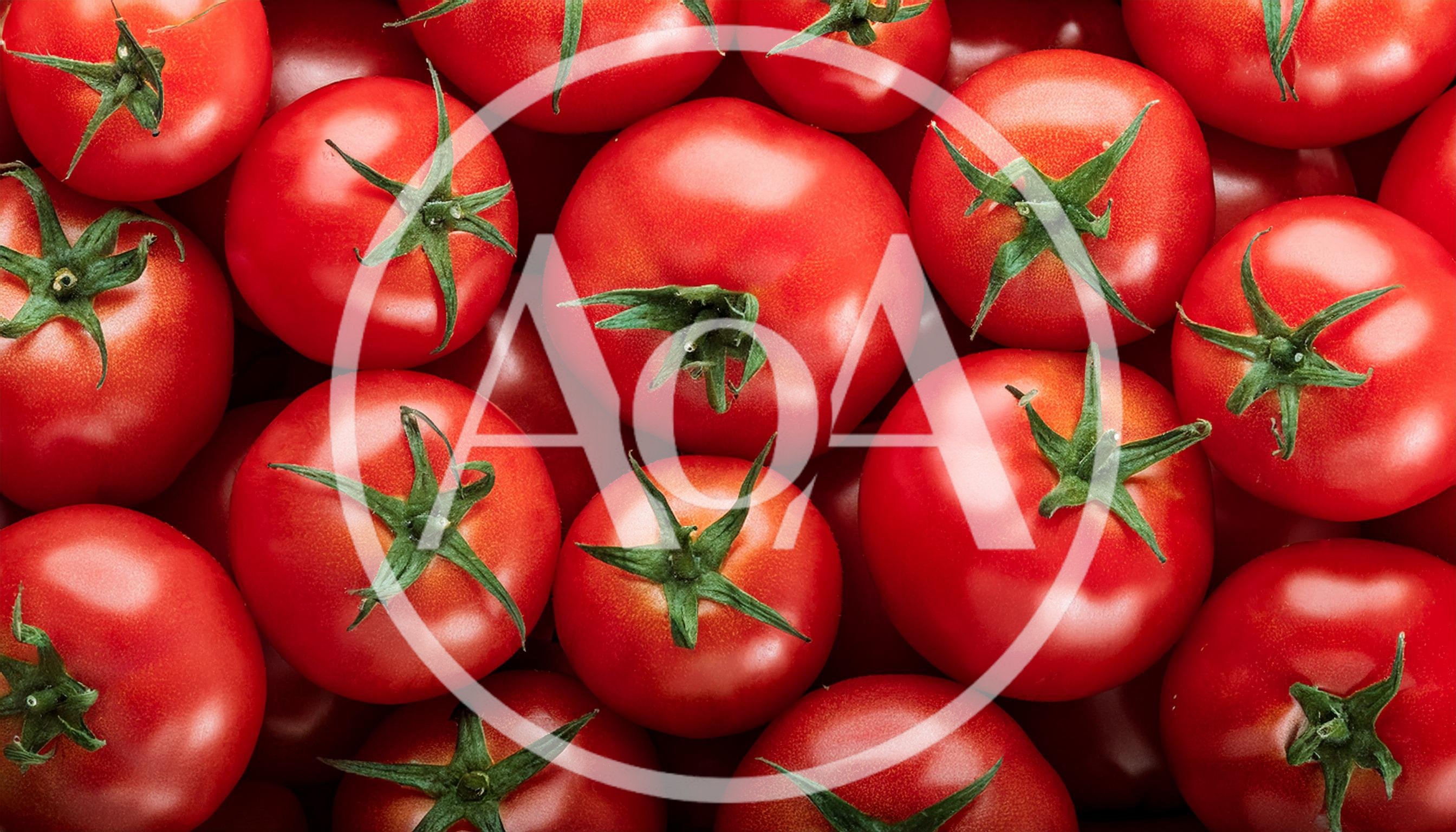 Fresh Red Tomatoes Background Texture