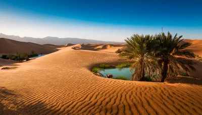 Oasis With Palm Trees In The Sahara Desert
