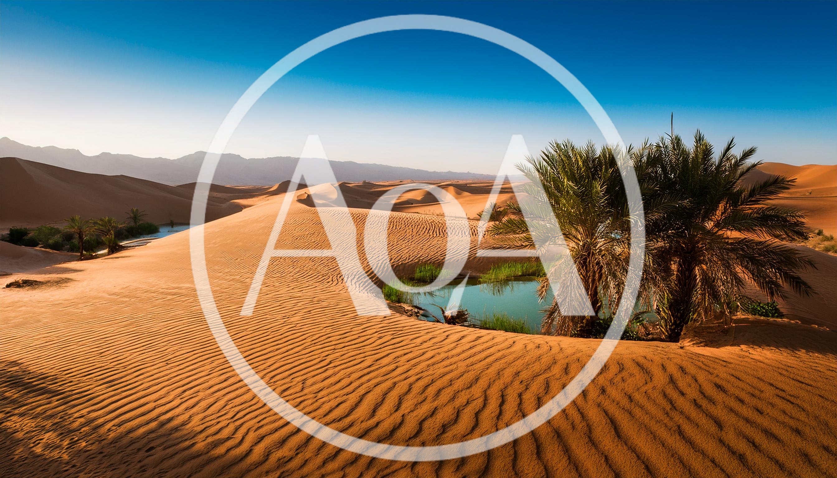 Oasis With Palm Trees In The Sahara Desert