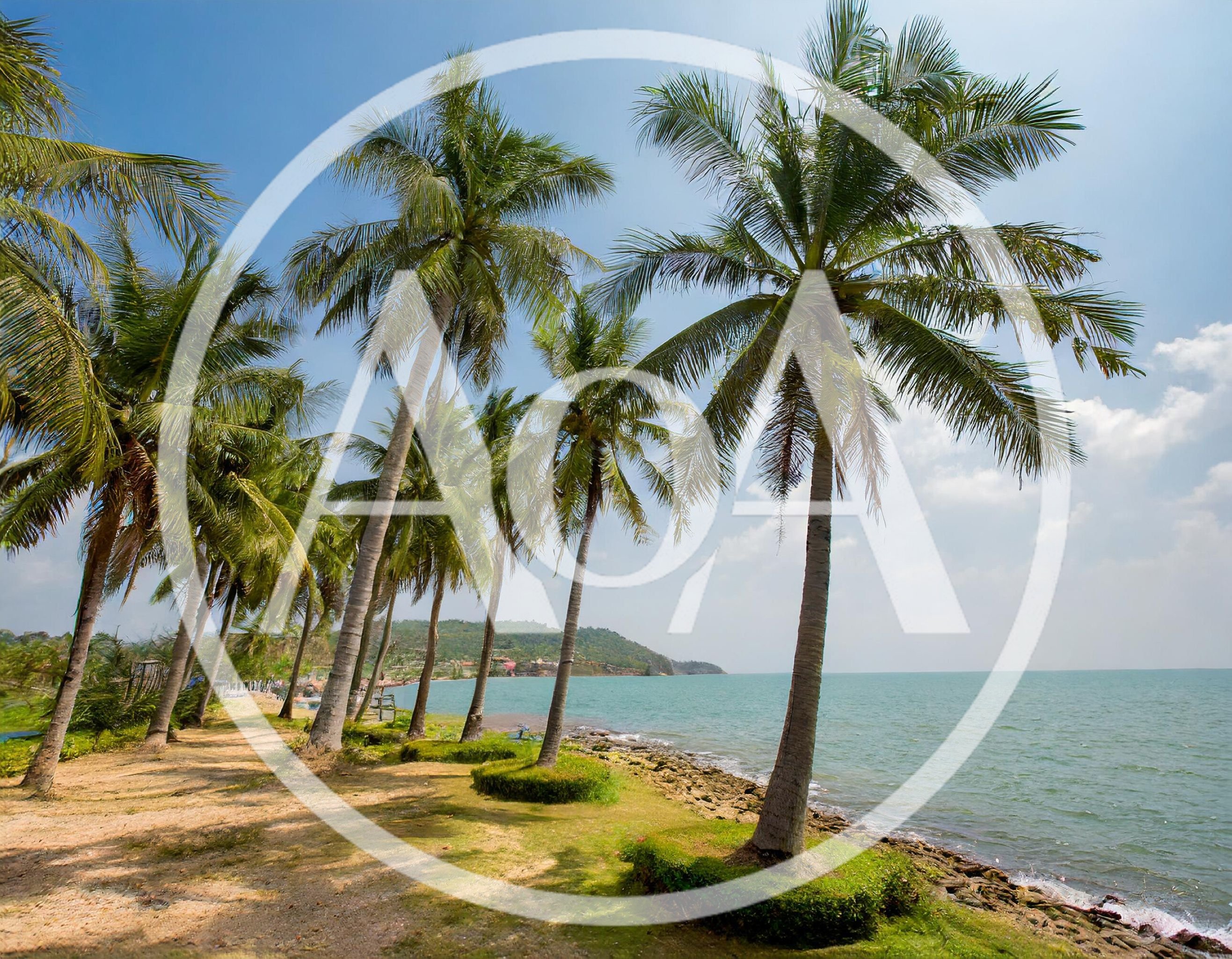 Palm Trees Along A Tropical Coastal Beach