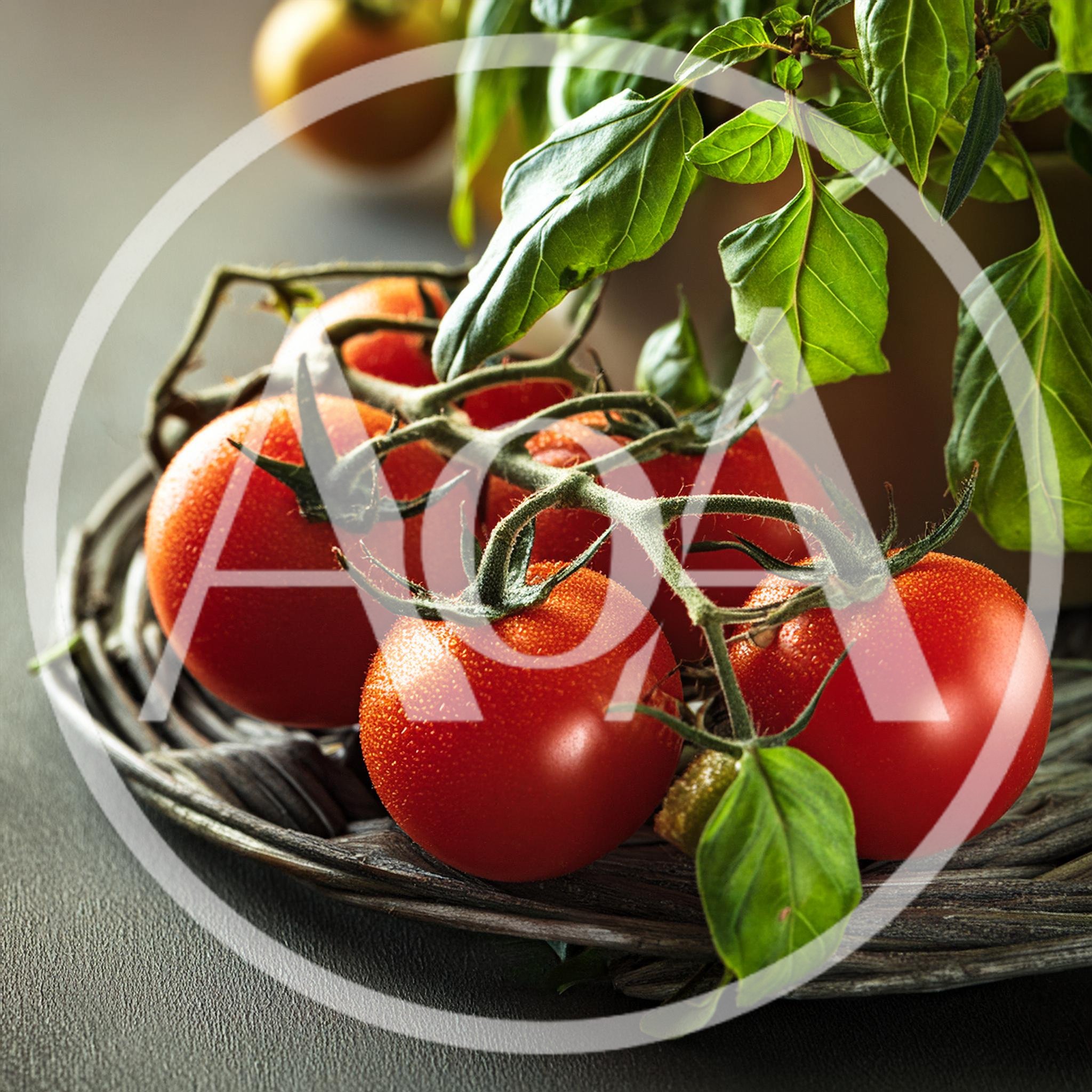 Fresh Red Cherry Tomatoes On A Woven Tray