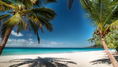 Tropical Beach Scene With Palm Trees And Turquoise Water