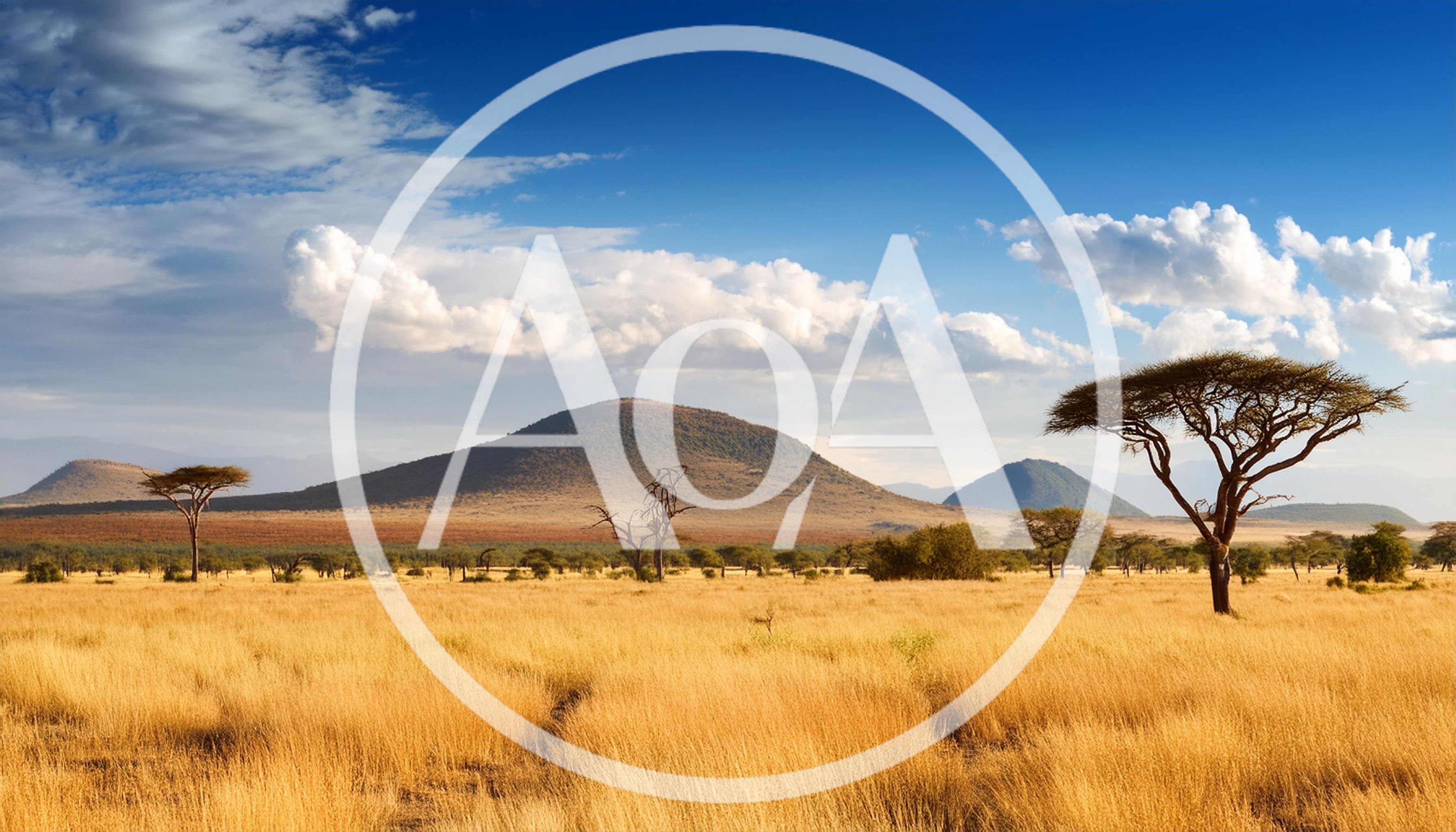 Acacia Trees In The Vast African Savanna Landscape