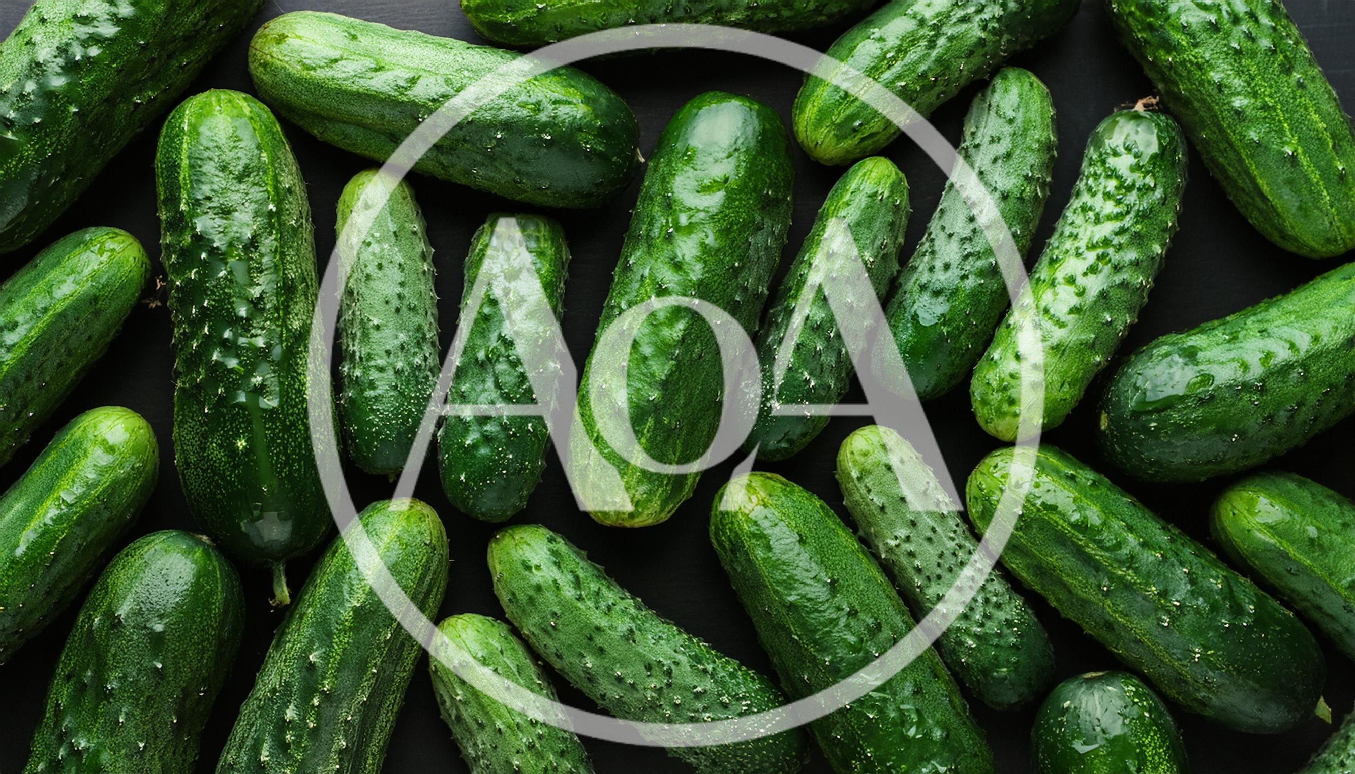 Fresh Green Cucumbers Arranged On A Dark Background