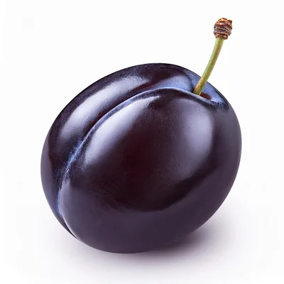 Single Fresh Ripe Purple Plum With Stem