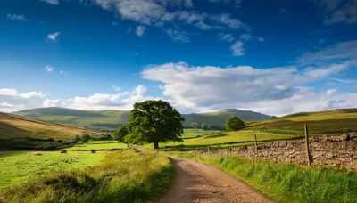 Dirt Path Through Rolling Green Hills In Peak District