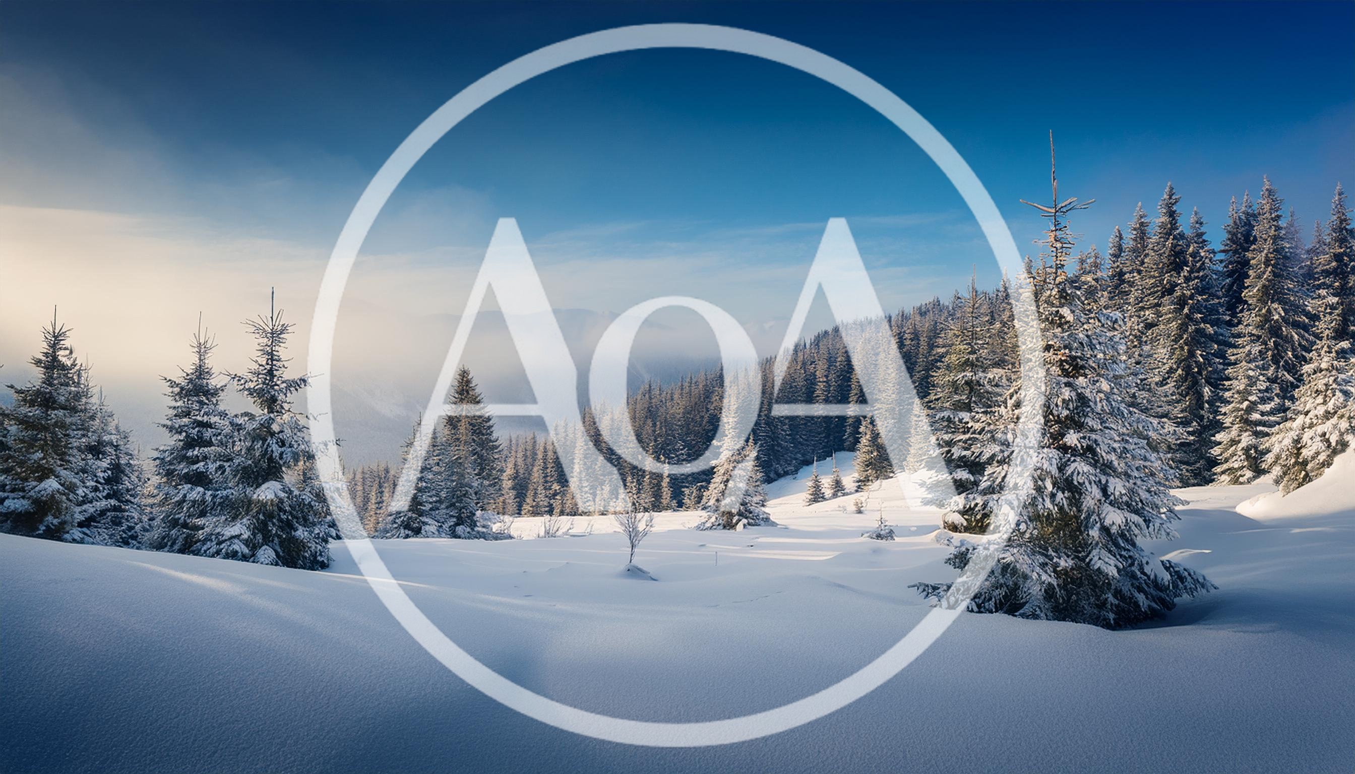Snow Covered Pine Forest In Winter Mountains