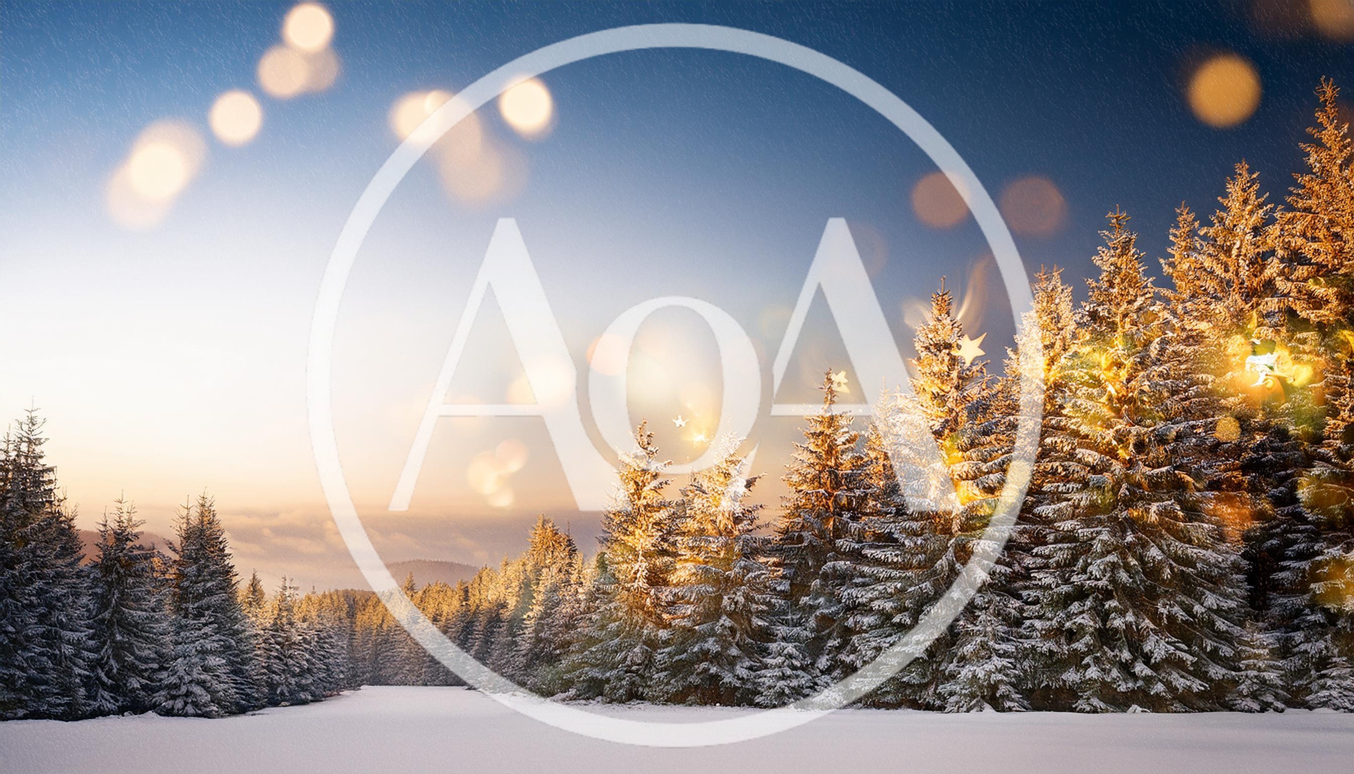 Snow Covered Pine Forest At Sunset With Bokeh Lights