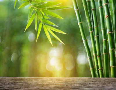 Wooden Table Surface With Bamboo Stalks And Leaves