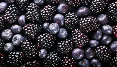 Fresh Ripe Blackberries and Blueberries Background