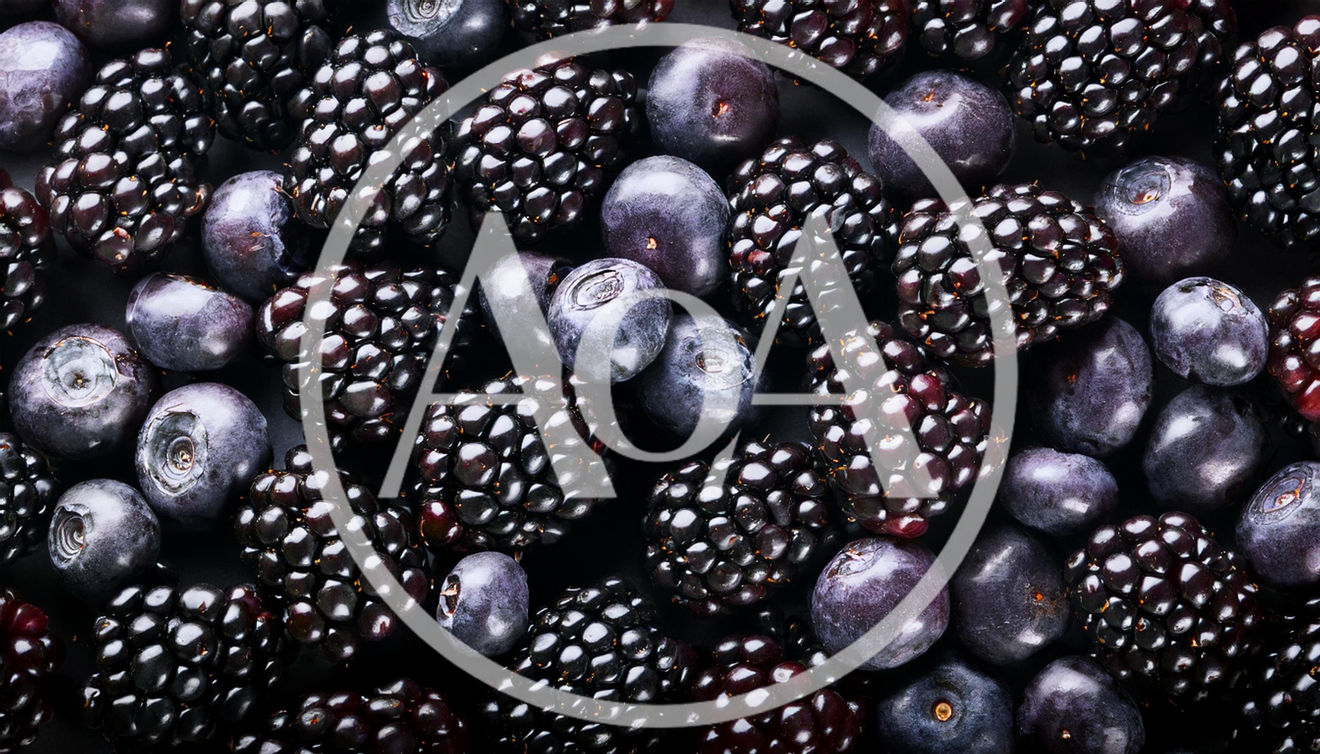 Fresh Ripe Blackberries and Blueberries Background