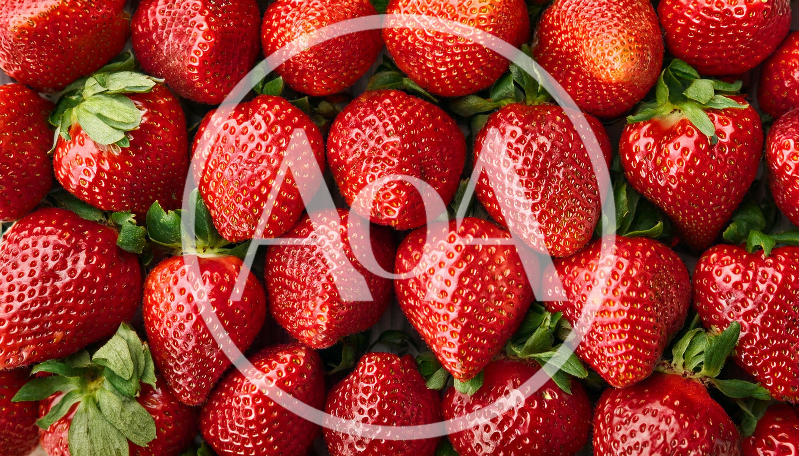 Fresh Ripe Strawberries Background