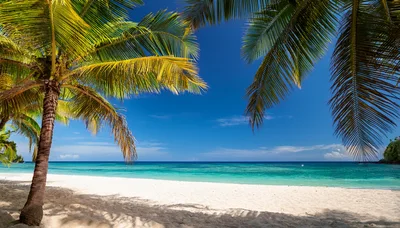 Tropical Beach Scene With Palm Trees And Turquoise Water