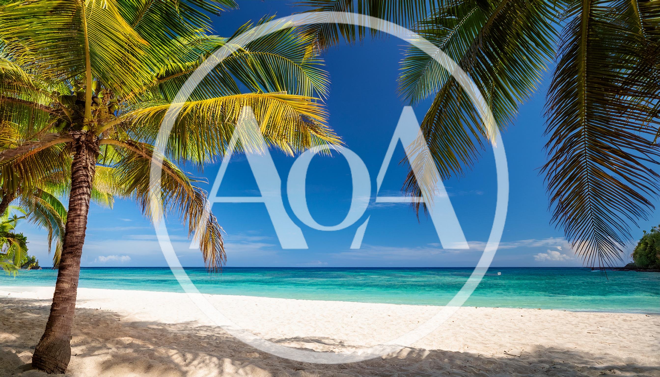 Tropical Beach Scene With Palm Trees And Turquoise Water