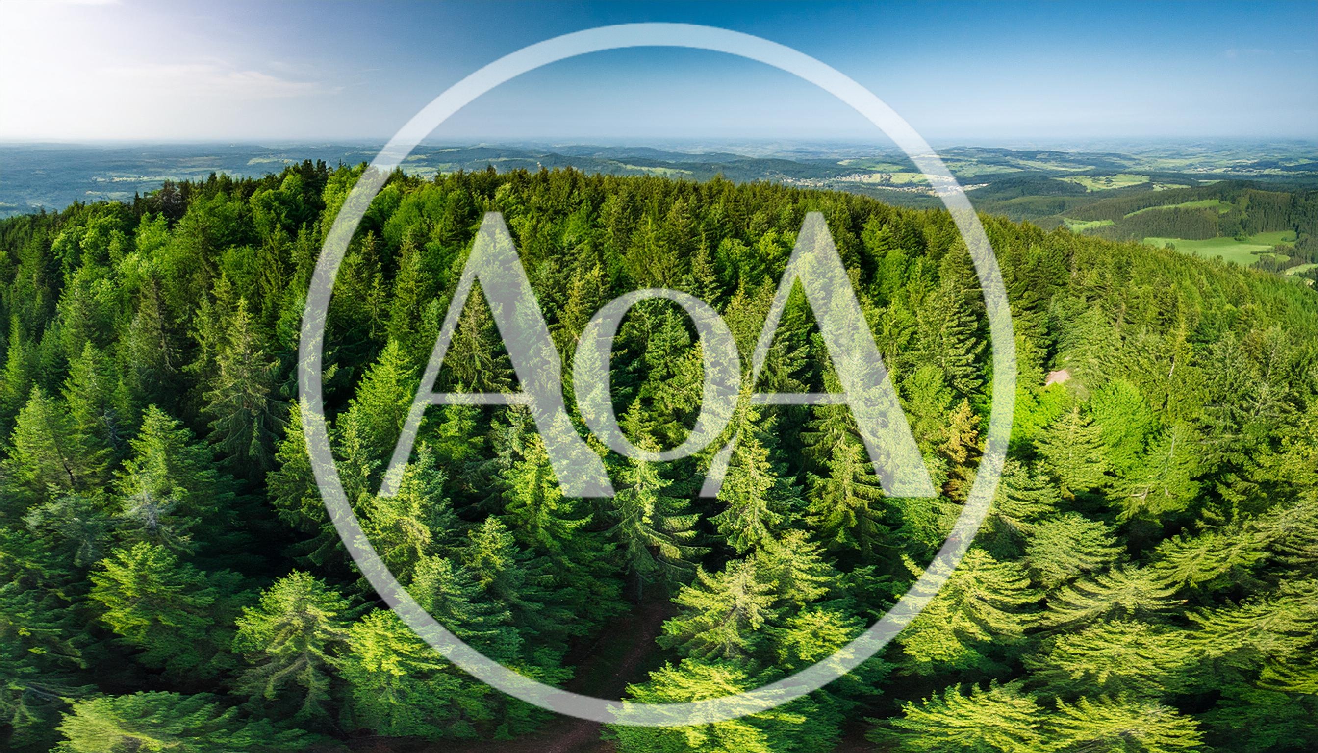 Aerial View Of A Dense Coniferous Forest