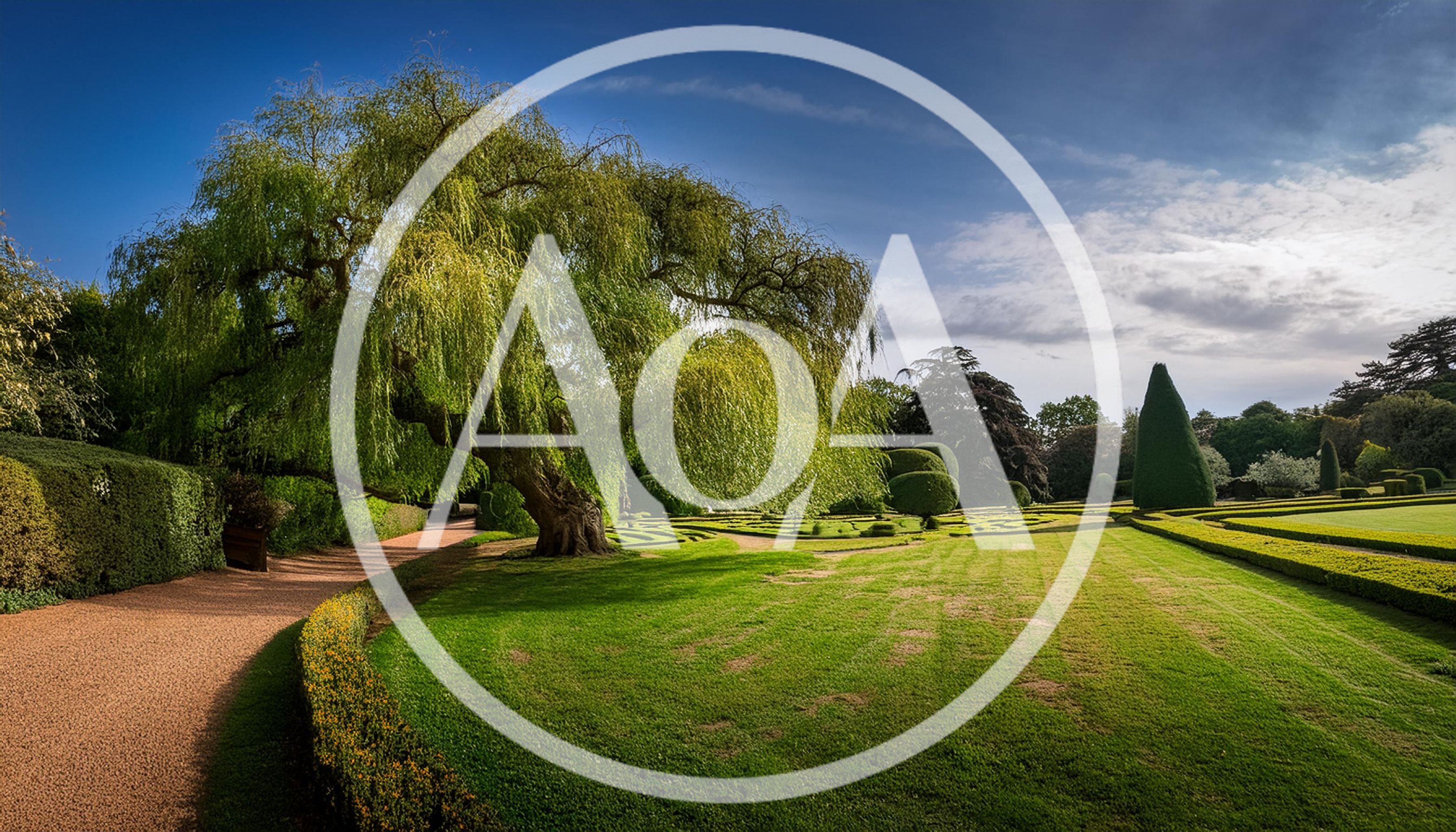 Weeping Willow Tree In A Manicured English Garden