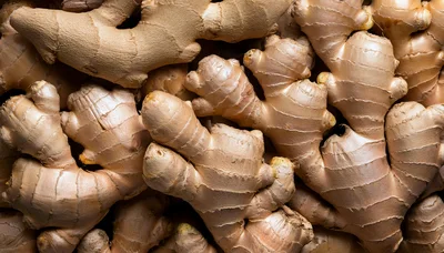 Fresh Raw Ginger Roots Background