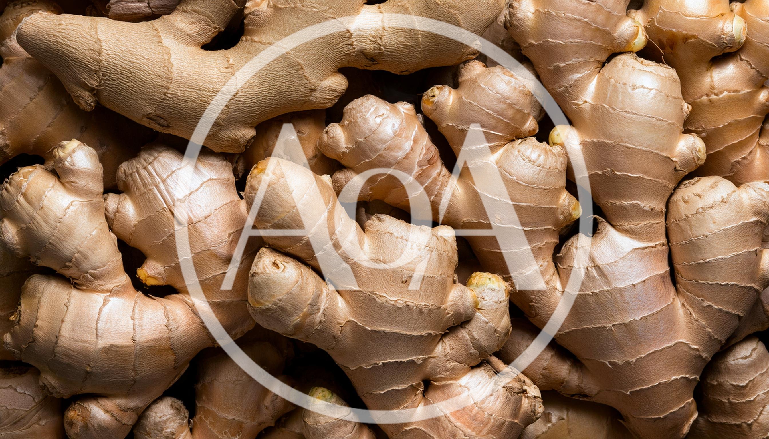 Fresh Raw Ginger Roots Background