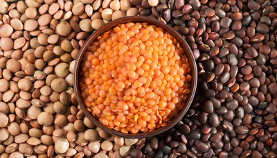 Bowl Of Red Lentils Surrounded By Assorted Legumes