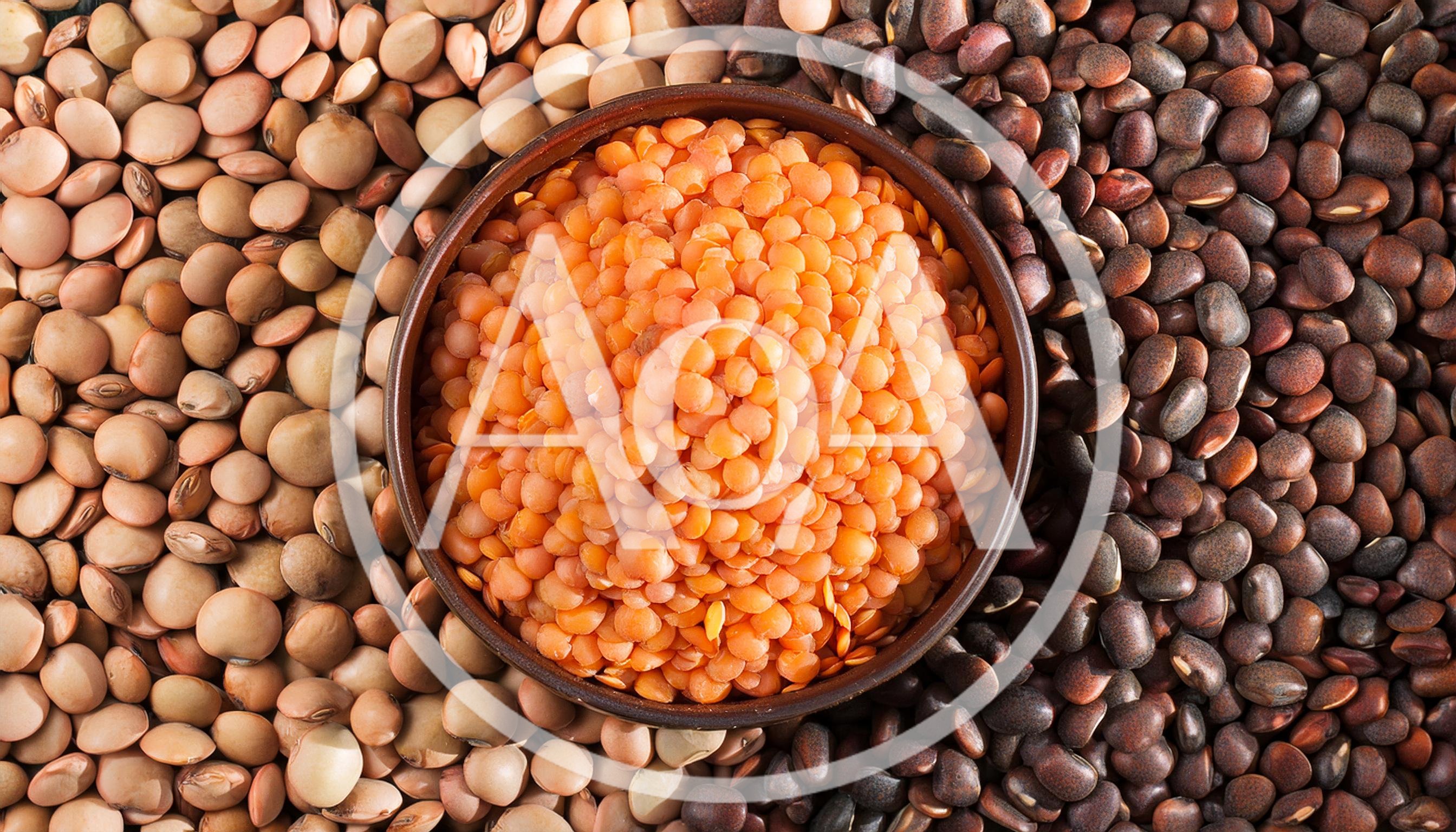 Bowl Of Red Lentils Surrounded By Assorted Legumes