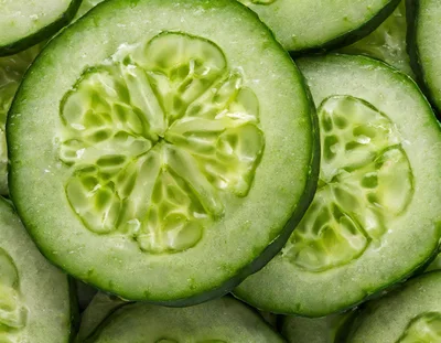 Fresh Sliced Cucumber Rounds Close Up