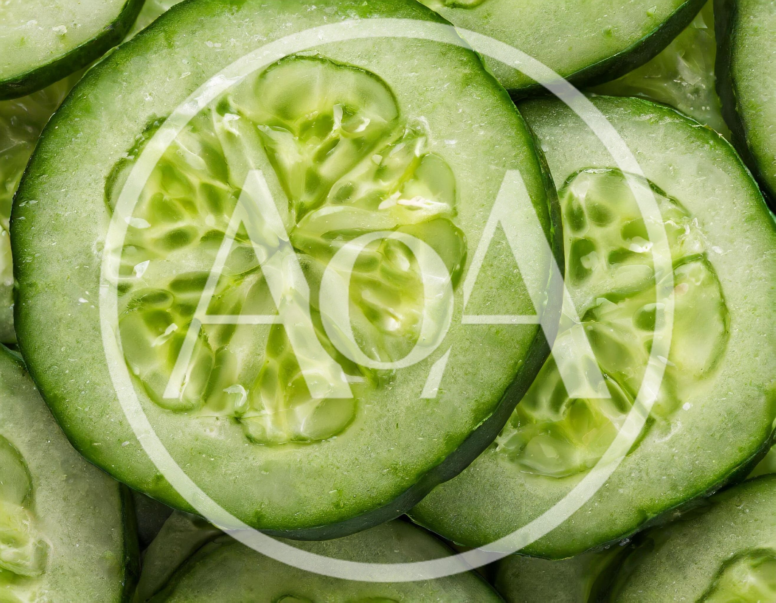 Fresh Sliced Cucumber Rounds Close Up