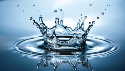 Water Crown Splash With Ripples