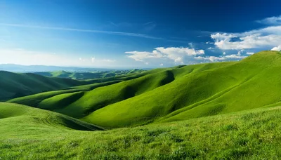 Rolling Green Hills Under A Bright Blue Sky