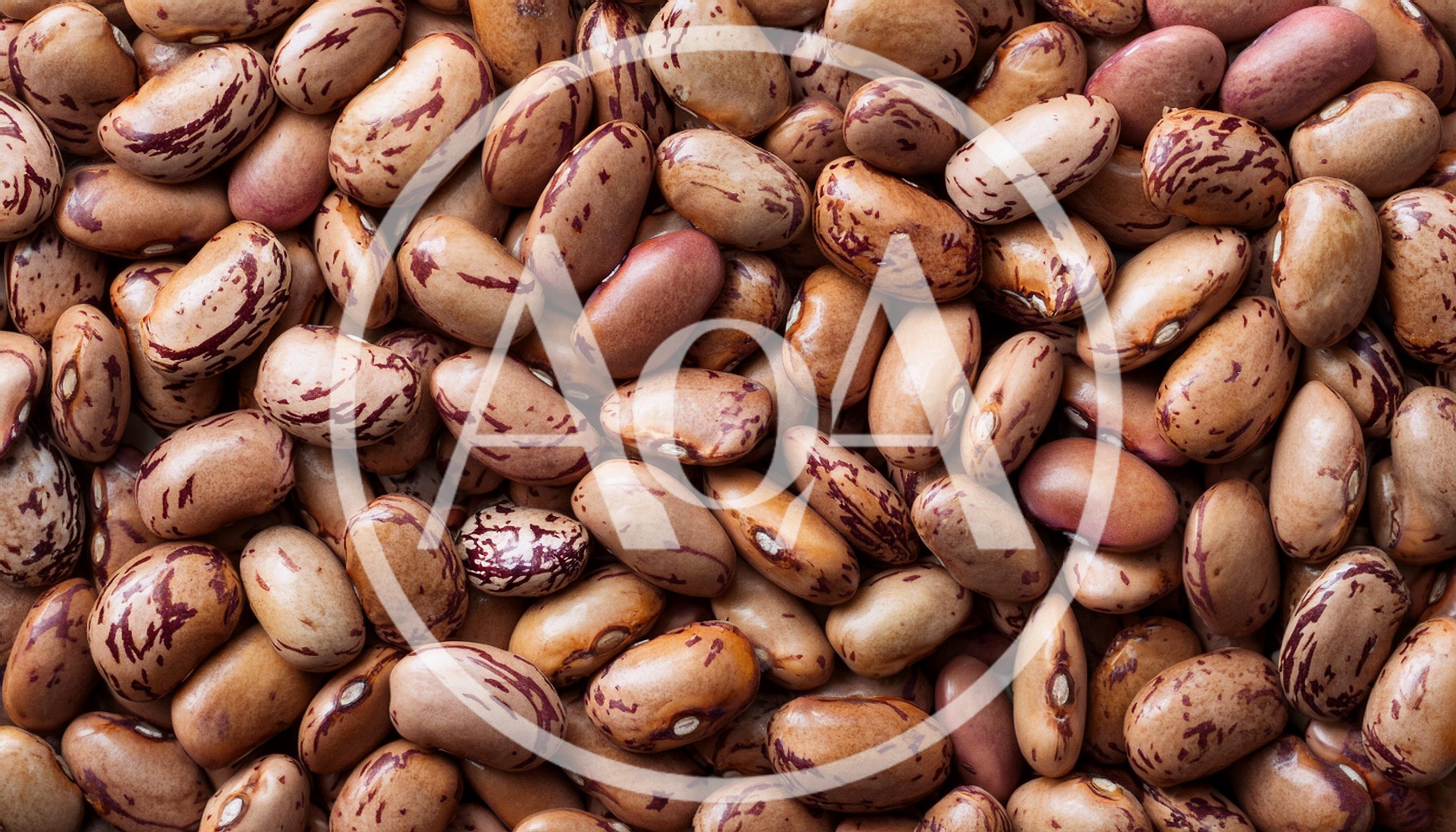 Top View Of Raw Pinto Beans Background