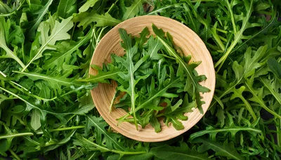 Fresh Arugula Leaves In A Wooden Bowl