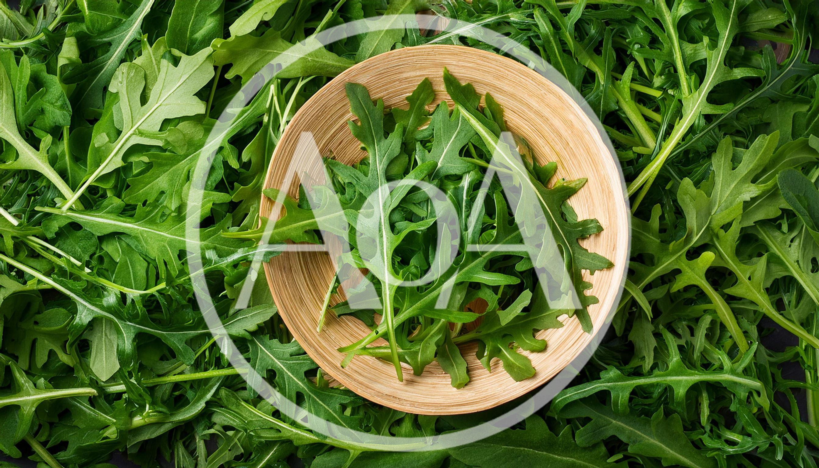 Fresh Arugula Leaves In A Wooden Bowl