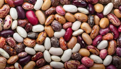 Assorted Dried Beans and Legumes Background