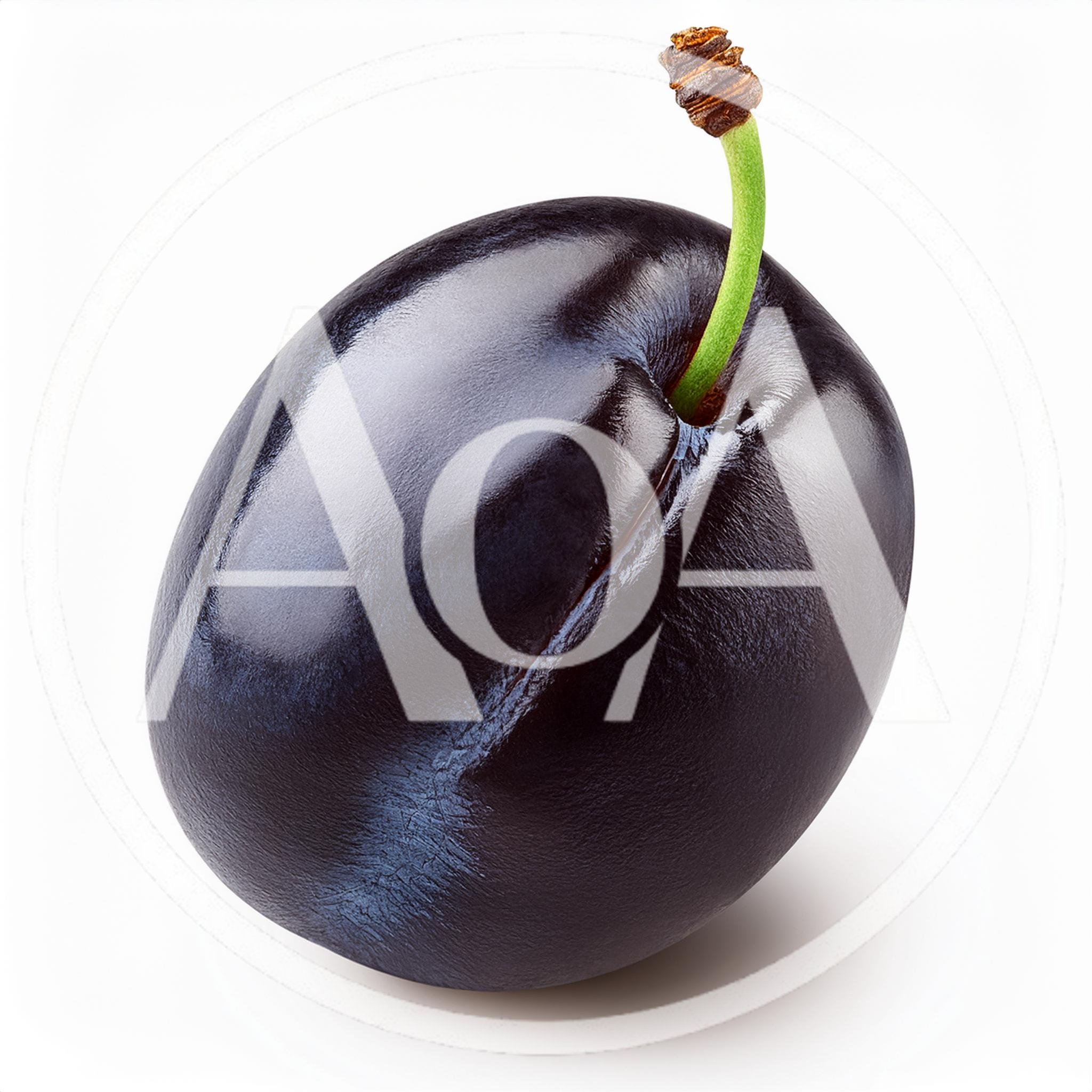 Single Fresh Ripe Plum With Stem