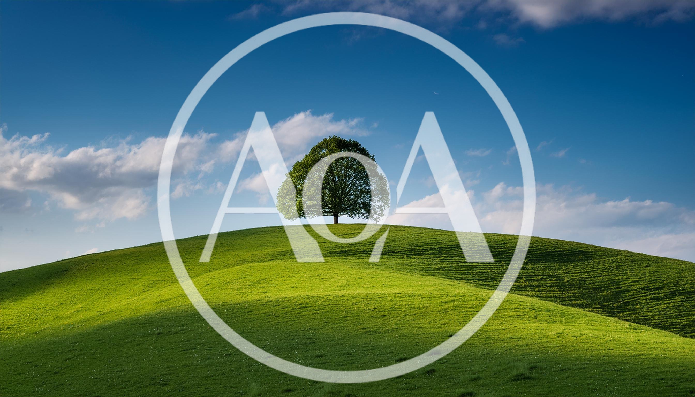 Solitary Deciduous Tree Standing Atop A Rolling Green Hill