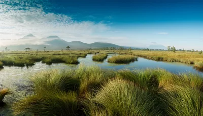 Panoramic View Of A Misty Wetland Landscape