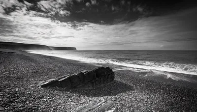 Black and White Coastal Landscape with Rocky Beach