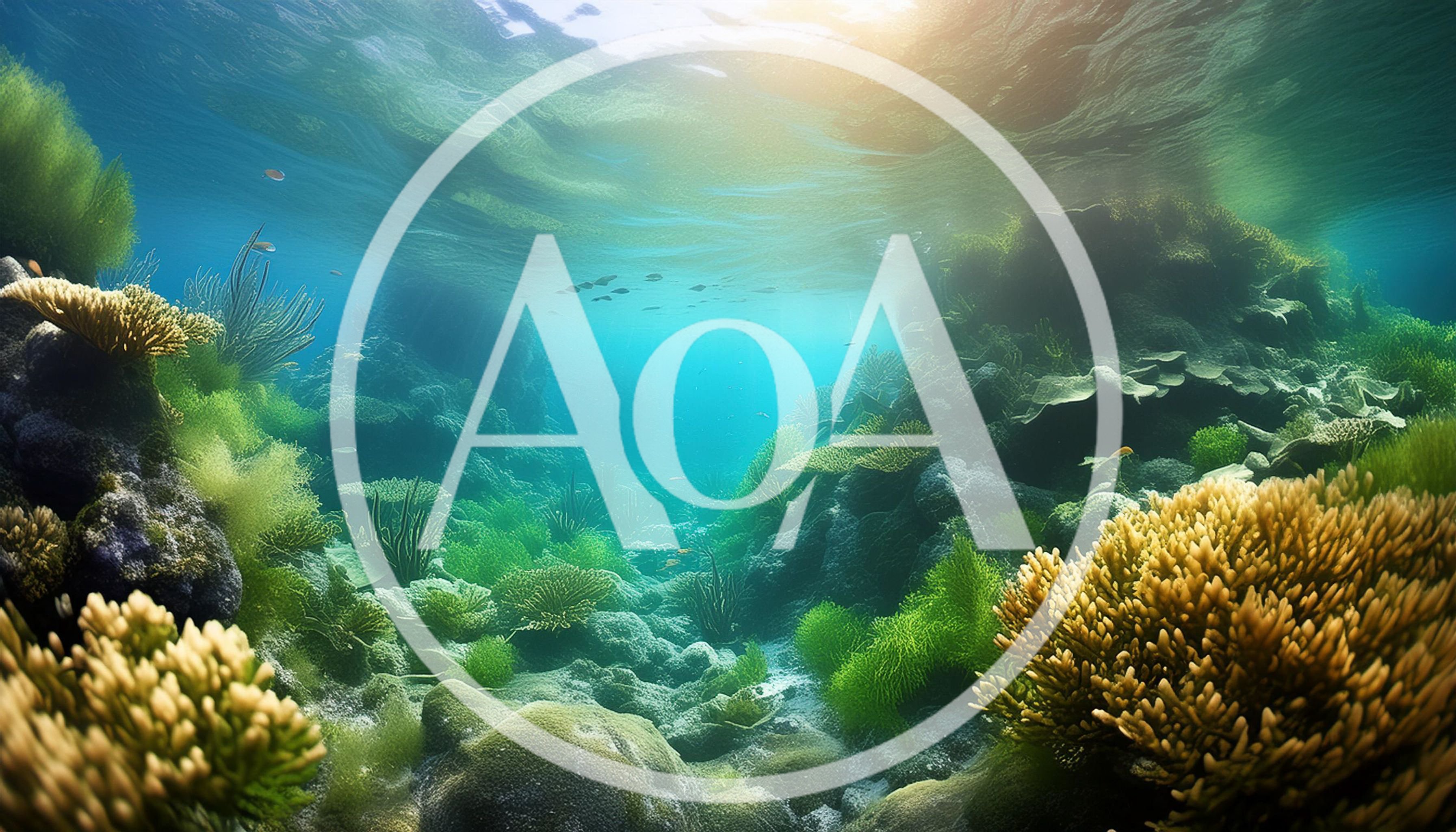 Vibrant Coral Reef Ecosystem Underwater Scene