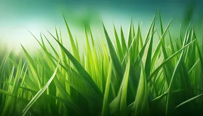 Close Up Of Vibrant Green Grass Blades