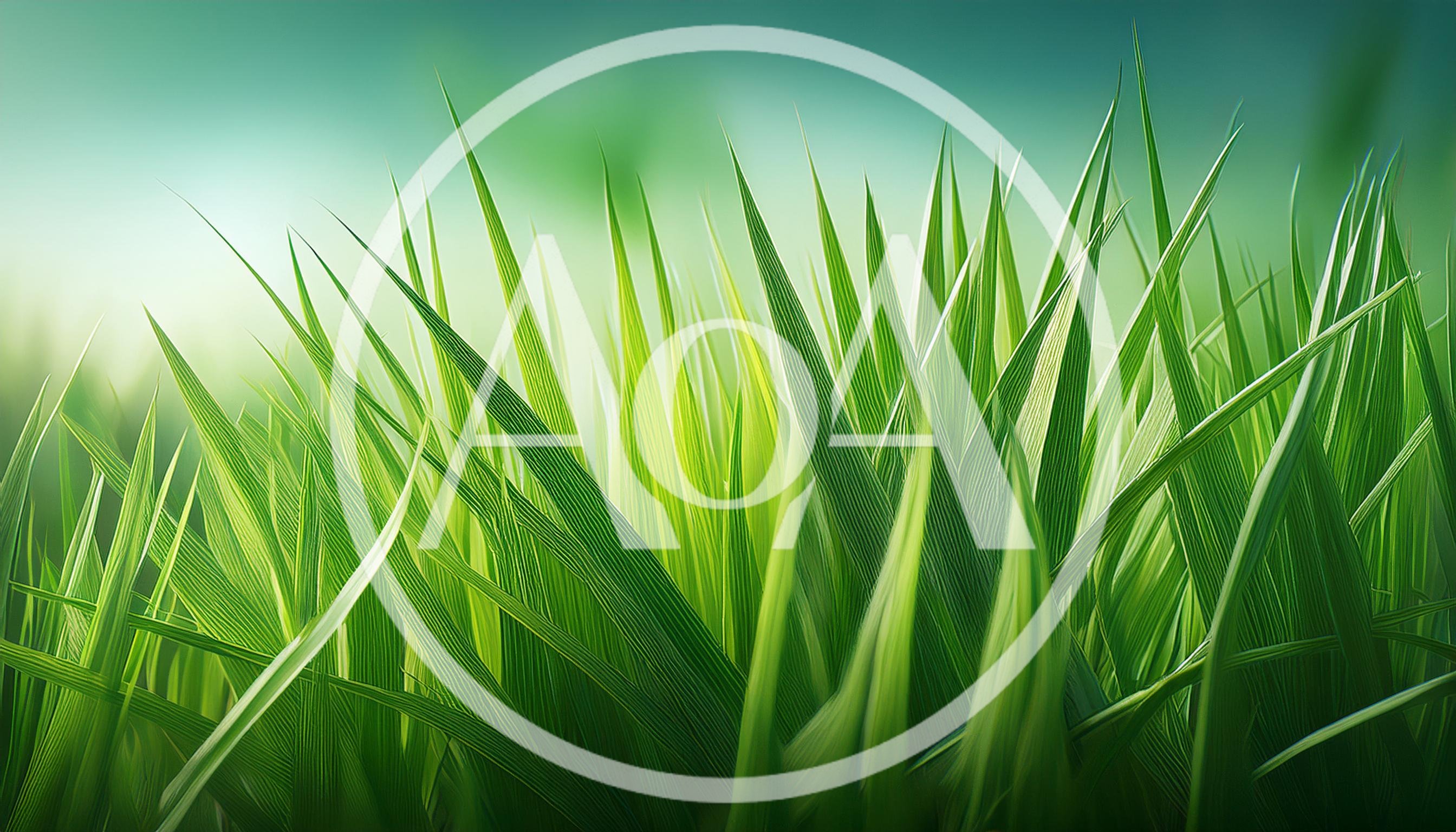 Close Up Of Vibrant Green Grass Blades