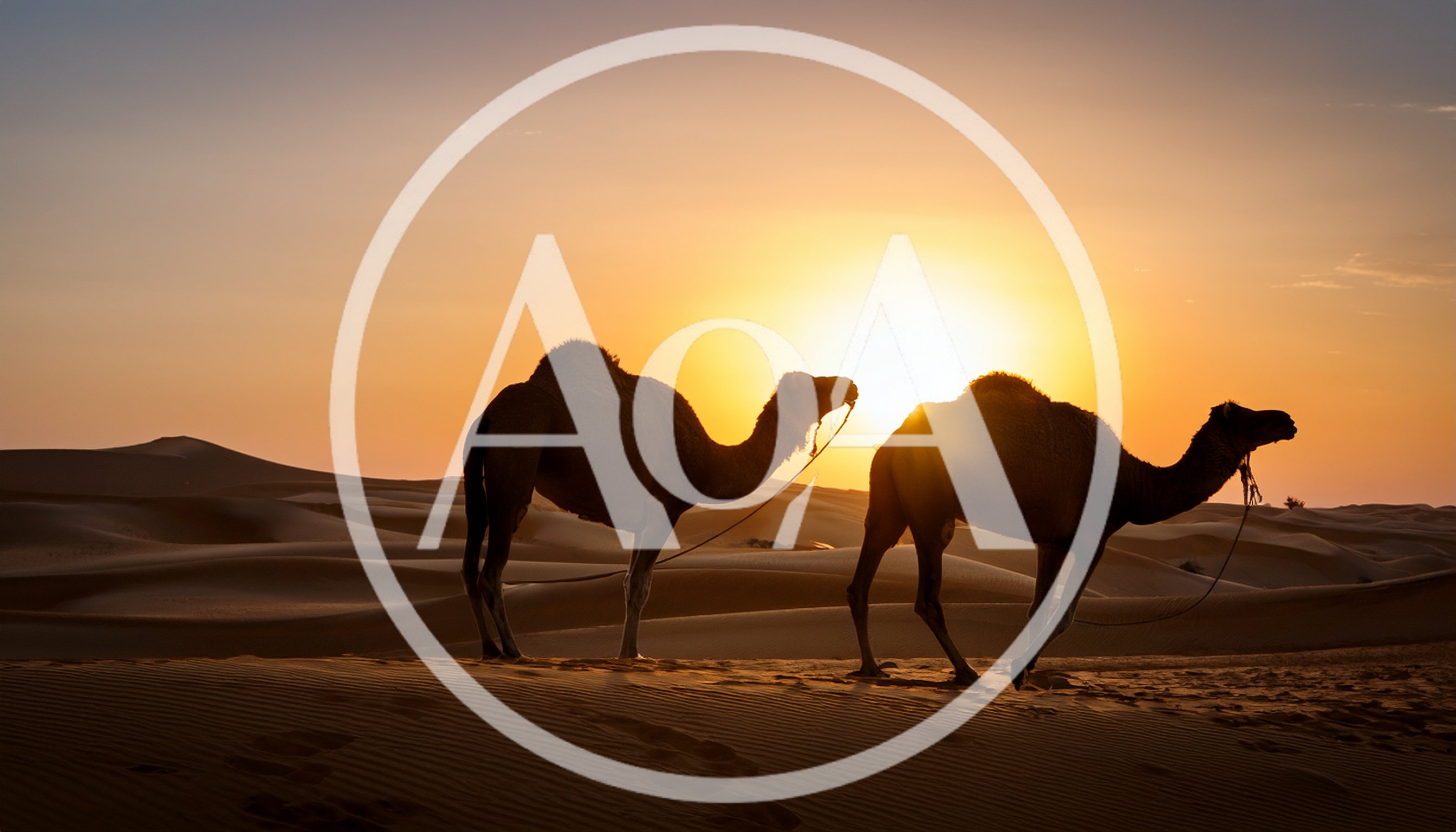 Two Camels Walking Across Desert Dunes At Sunset