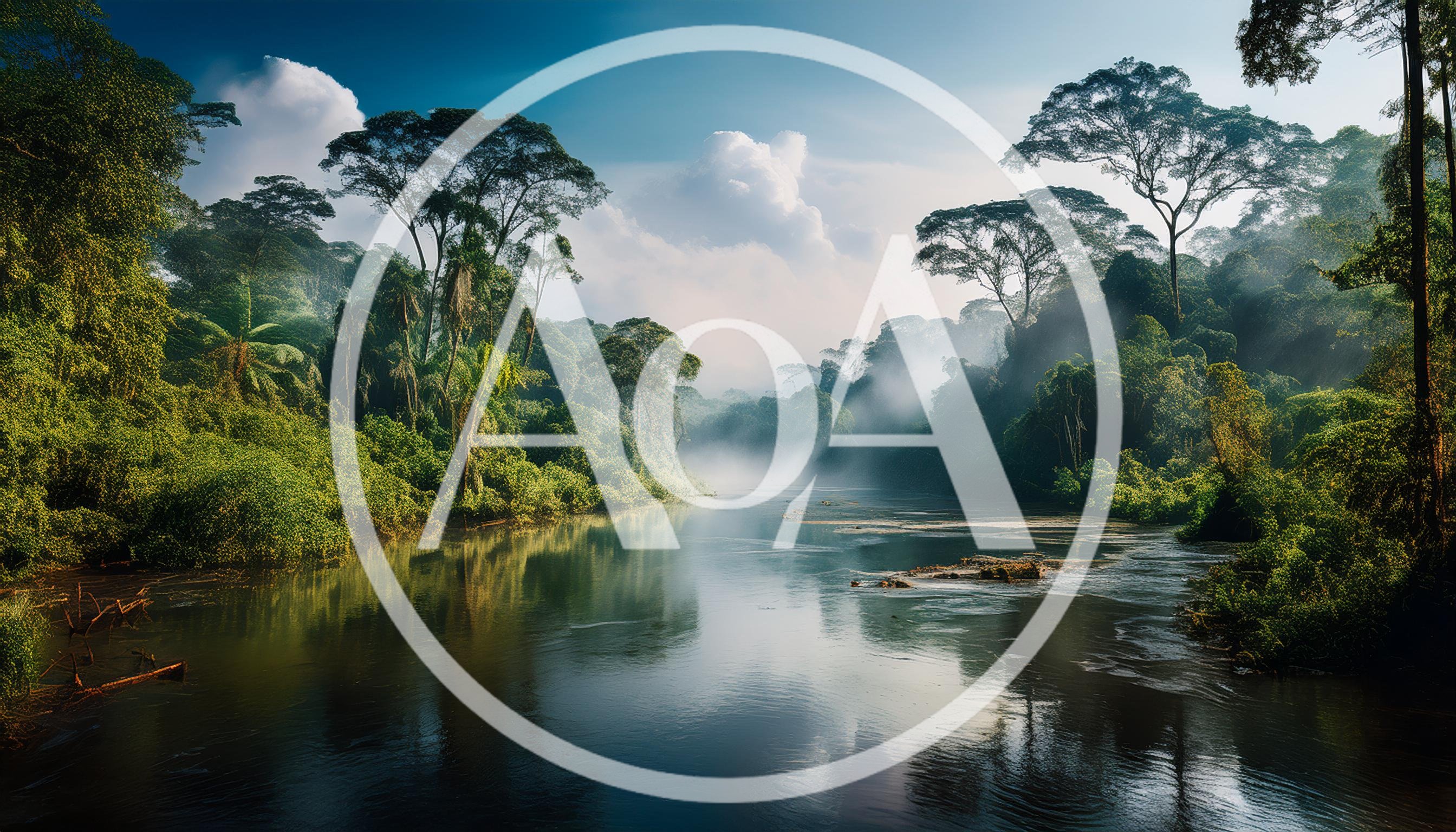 Serene River Flowing Through A Lush Tropical Rainforest