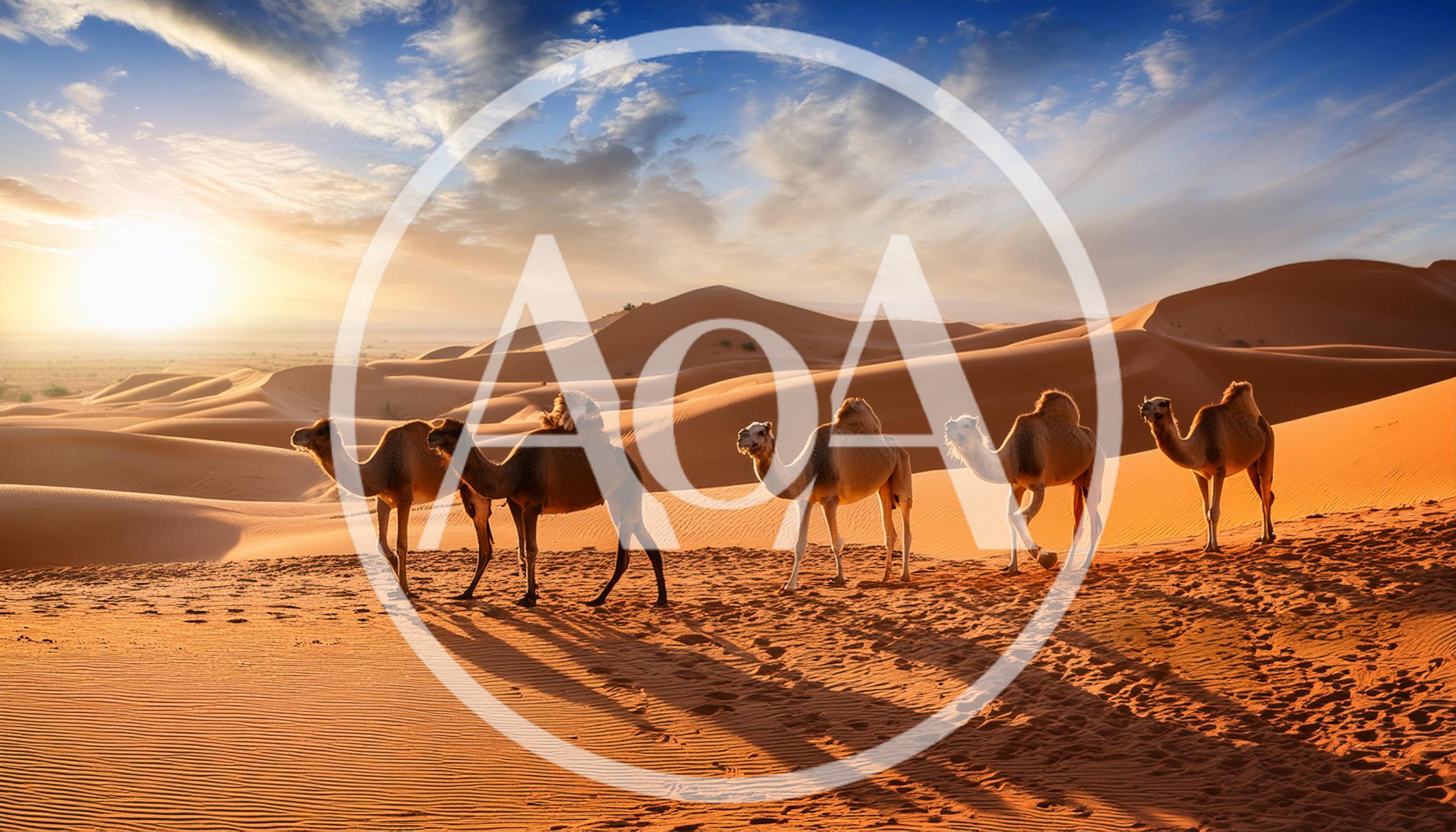 Caravan Of Camels Walking Across Desert Sand Dunes