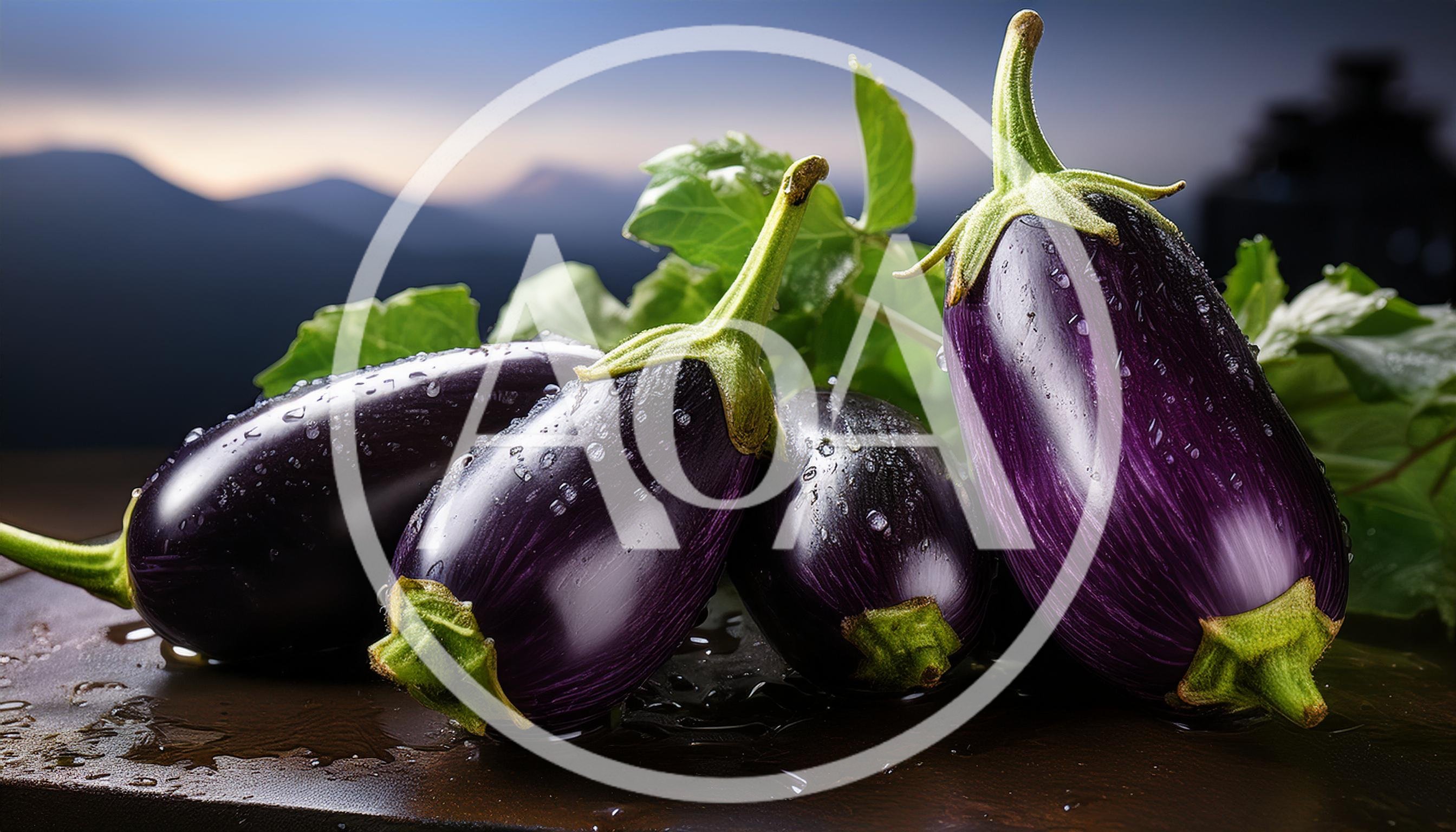 Fresh Purple Eggplants With Water Droplets
