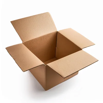 Open Empty Cardboard Shipping Box