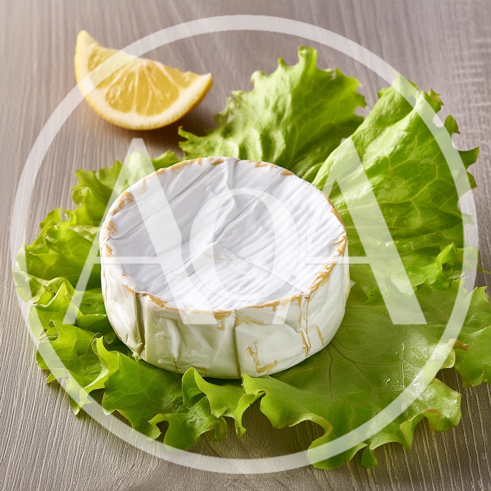 Round Brie Cheese Wheel on Fresh Lettuce Leaves