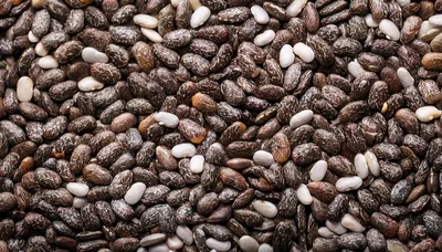 Macro Close Up Of Organic Chia Seeds