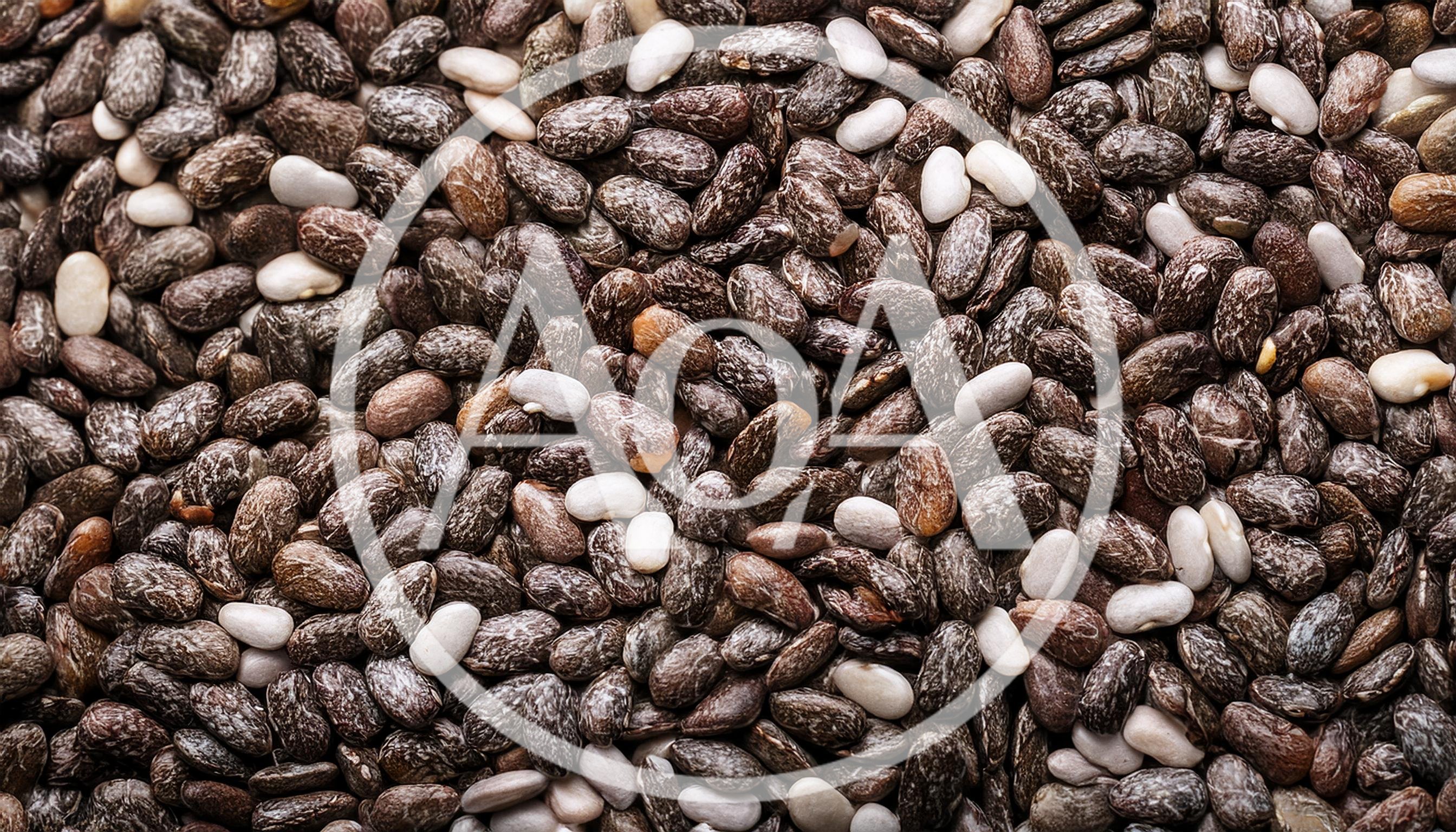 Macro Close Up Of Organic Chia Seeds