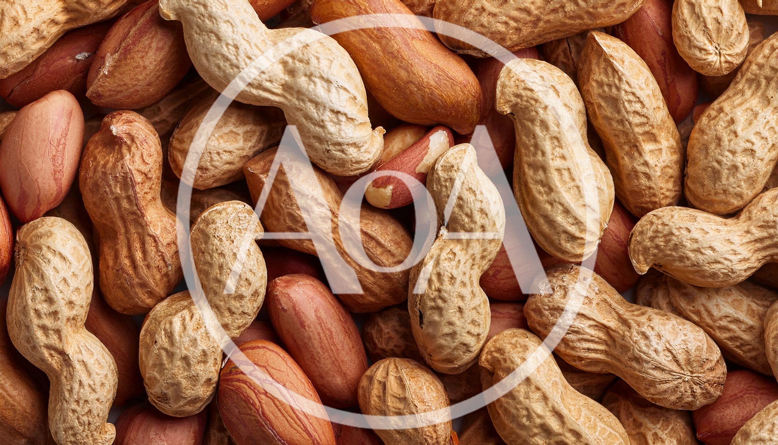 Top View Of Raw Peanuts In Shells And Kernels