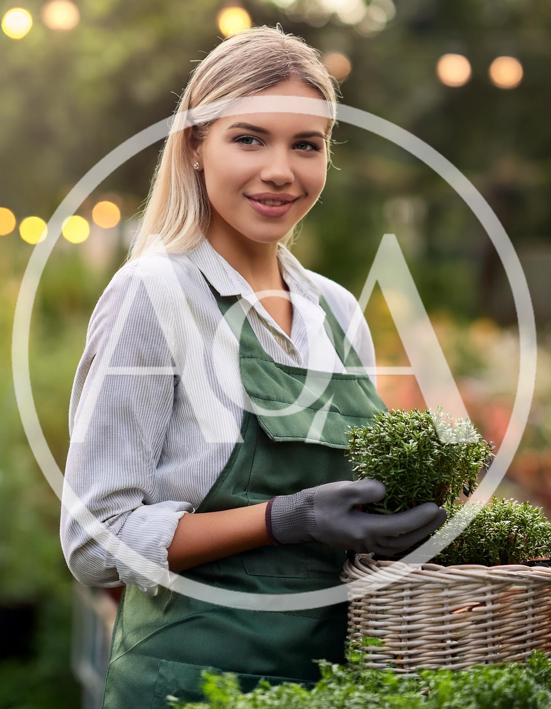 Young Female Gardener Holding Potted Plants In A Greenhouse